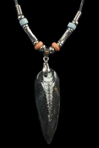Fossil Orthoceras (Devonian Cephalopod) Necklace #43121